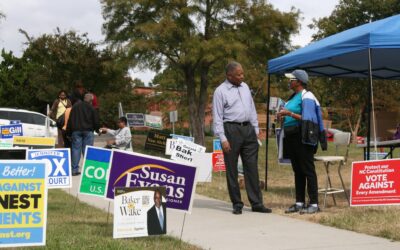 Black Voters Removed from a State Senate District